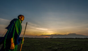Tanzania Safari SafariGuru