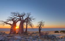 Botswana